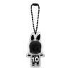 Pop Mart 10. Jahrestag LABUBU DIE MONSTER SUPER MINI Charm