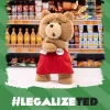 Ted2-ted Action-Plüschfigur